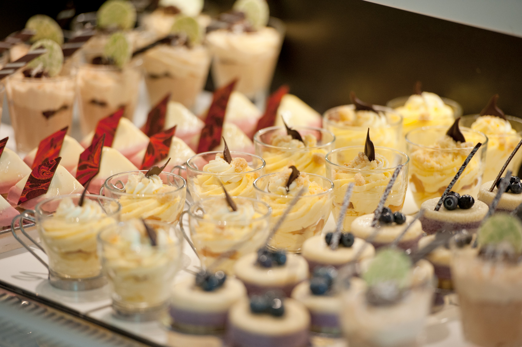 CLD The Conservatory 67